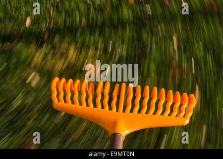 Motion Blur sul prato arancione foglie rake Foto Stock