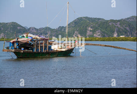 Barca a Halong Foto Stock