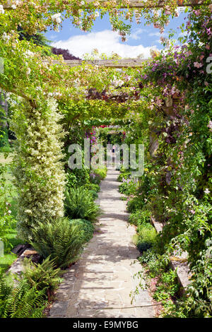 Parte del 300ft lungo Edwardian pergola a West Dean Gardens, West Sussex, in Inghilterra, Regno Unito Foto Stock