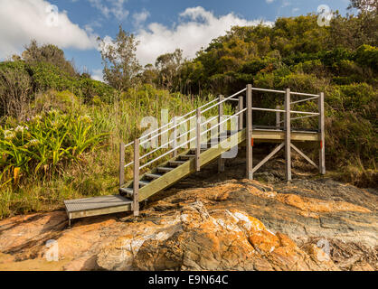 Sollevate passi attraverso la foresta in NSW Foto Stock