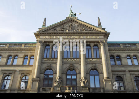 Davanti al Museo Koenig a Bonn, Germania Foto Stock