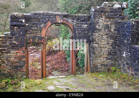 Rovine di Errwood Hall nel Goyt Valley, Derbyshire. Foto Stock