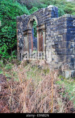 Rovine di Errwood Hall nel Goyt Valley, Derbyshire. Finestra e bracken. Foto Stock