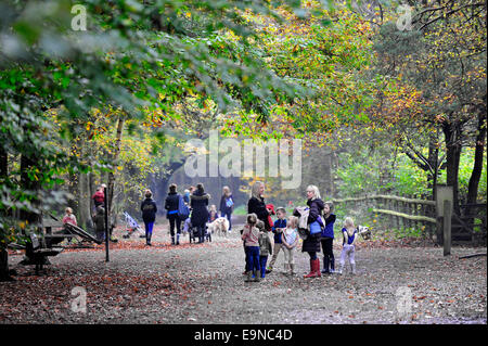 Thorndon Park, Essex, Regno Unito. Il 30 ottobre 2014. Famiglie approfitta della unseasonal caldo e divertirsi a Thorndon Parco bosco. Foto: Gordon Scammell/Alamy Live News Foto Stock