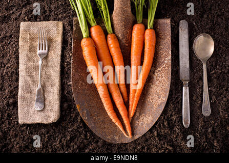 Azienda agricola biologica alla tabella mangiare sano concetto sul terreno dello sfondo. Foto Stock