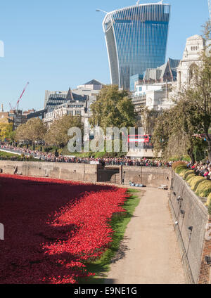 Rosso papavero in ceramica presso la Torre di Londra ricorda exhibition, sangue spazzata di terre e mari di rosso, con walkie talkie edificio Foto Stock