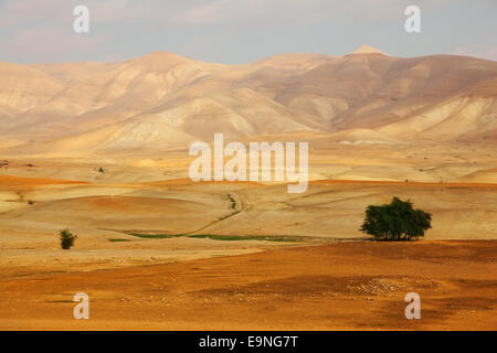 Deserto del Sinai in una mattinata Foto Stock
