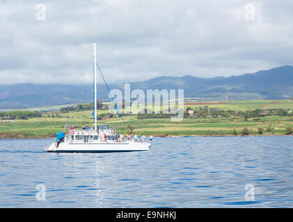 Ocean Yachts crociera avvistamento balene Foto Stock