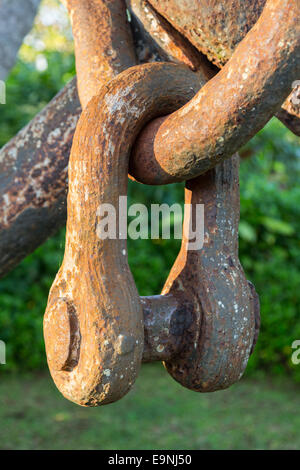 Rusty maglie di catena su ancora grande in giardino Foto Stock