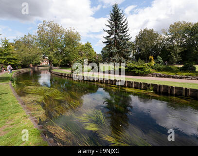 Vista del grande fiume Stour in Westgate giardini, Canterbury, Inghilterra. Foto Stock