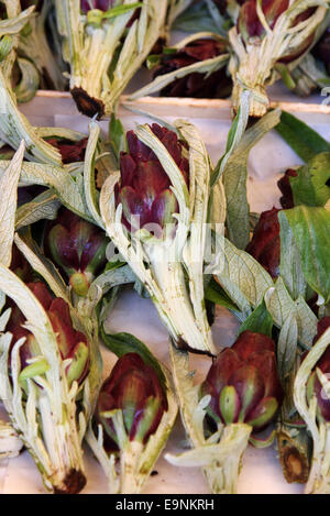 Carciofini sul display al mercato di Rialto di Venezia presso il Grand Canal. Foto Stock