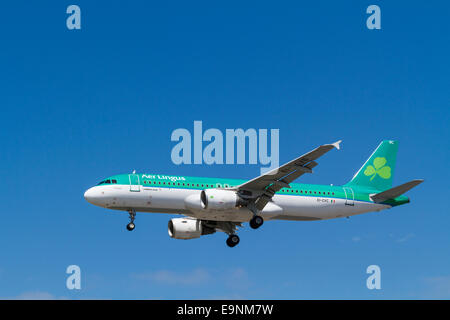 Aer Lingus Airbus A320 piano, EI-CVC, denominato St Kealin, per il suo approccio per l'atterraggio all'Aeroporto di Londra Heathrow, England, Regno Unito Foto Stock