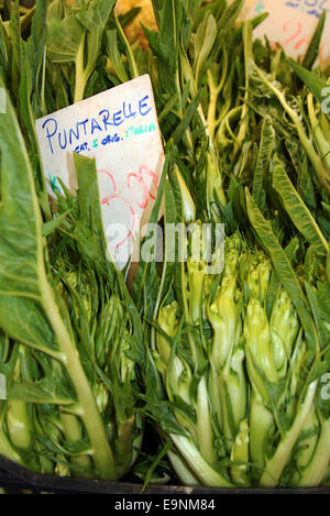 Cicoria di catalogna o puntarelle in italiano, su tavola di legno con il  coltello. Questo tipo di cicorie di Bruxelles è un tradizionale delle  verdure utilizzate nella cucina romana Foto stock 