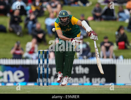 Hamilton, la Nuova Zelanda. 27 ott 2014. Sud Africa Hashim Lrd è colpito durante la ANZ una giornata internazionale della serie, NZ v Sud Africa a Seddon Park, Hamilton, Nuova Zelanda © Azione Sport Plus/Alamy Live News Foto Stock