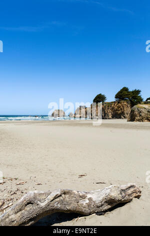 Spiaggia sulla Statale Route 1 appena a nord di Fort Bragg, Mendocino County, California del Nord, STATI UNITI D'AMERICA Foto Stock