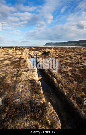 Spiaggia rocciosa con la bassa marea Robin cappe Bay North Yorkshire Inghilterra Foto Stock