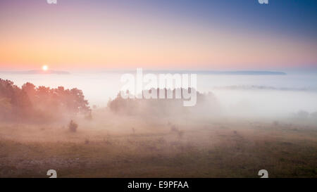 Windknollen , Napoleonstein , Jena, Germania Foto Stock