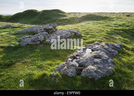 Le pietre a Arbor bassa cerchio di pietra nel Peak District, Derbyshire. Un henge neolitico che è una popolare meta turistica. Foto Stock