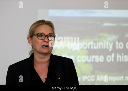 Copenhagen, Danimarca. Il 31 ottobre, 2014. WWF-Danimarca Segretario generale, Gitte Seeberg, presso il press briefing riunione tenutasi a Copenaghen. Ella ha detto che ora abbiamo una grande opportunità di cambiare il corso della storia e che dobbiamo agire secondo la nostra conoscenza Credito: OJPHOTOS/Alamy Live News Foto Stock