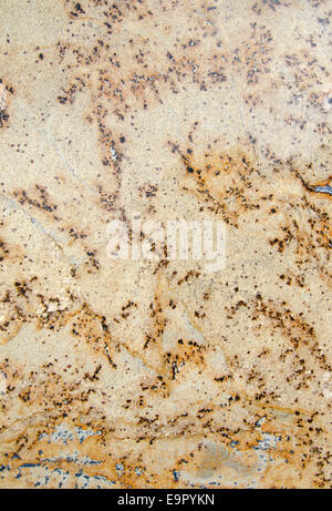 Una soletta piena di tagliare e granito lucido rende uno sfondo di texture, modelli e colori. Foto Stock