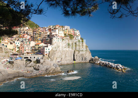 Manarola, il Parco Nazionale delle Cinque Terre, Liguria, Italia. Villaggio di colorate case aggrappate alle ripide scogliere rocciose sopra il porto. Foto Stock