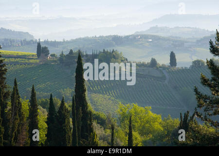 San Gimignano, Tuscany, Italy. View across typical vine-covered hillsides at dawn. Foto Stock