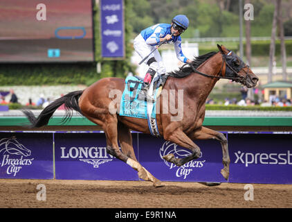 Arcadia, CA, Stati Uniti d'America. 31 ott 2014. Ottobre 31, 2014: Cary Street e Miguel Mena vincere il grado II Las Vegas Marathon Stakes on Breeders' Cup giorno a Santa Anita Park in Arcadia, California. Zoe Metz/ESW/CSM/Alamy Live News Foto Stock