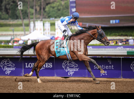 Arcadia, CA, Stati Uniti d'America. 31 ott 2014. Ottobre 31, 2014: Cary Street e Miguel Mena vincere il grado II Las Vegas Marathon Stakes on Breeders' Cup giorno a Santa Anita Park in Arcadia, California. Zoe Metz/ESW/CSM/Alamy Live News Foto Stock