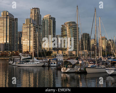 Barche ormeggiate al porto di abete rosso Marina e alto litorale torri condominio, False Creek fluviale, Vancouver, Canada Foto Stock