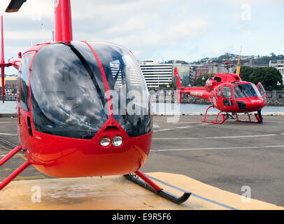 Red Helipro Robinson R22 e Eurocopter Squrrel elicotteri sul terreno al Queens Wharf eliporto, Wellington, Nuova Zelanda Foto Stock