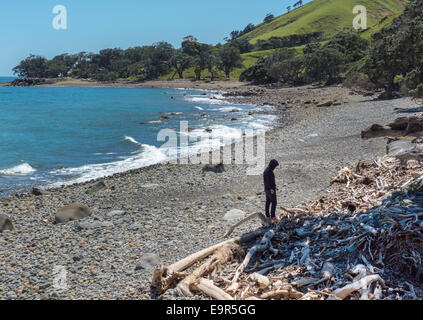 Solo l'uomo sulla Nuova Zelanda litorale Amodeo Bay, Penisola di Coromandel, Nuova Zelanda Foto Stock