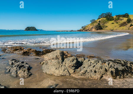 Spiaggia di sabbia e rocce, Port Jackson, Penisola di Coromandel, Nuova Zelanda Foto Stock
