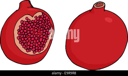 Disegnata a mano cartoon melograno tutta la frutta e tagliate a fette Foto Stock