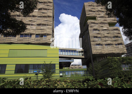 Eco-quartiere denominata Nuova area urbana, Clichy-Batignolles, Parigi, Francia Foto Stock