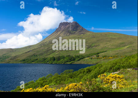 Stac Pollaidh, Stack Polly, montagna, loch e ginestre entro Inverpolly Riserva Naturale Nazionale in Coigach area del nord-ovest Foto Stock