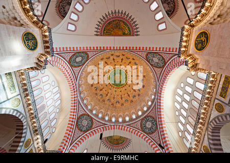 La bellissima Süleymaniye Camii Istanbul, Turchia. Foto Stock