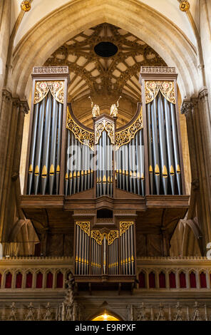 L'organo principale mostra organo a canne della Cattedrale di Wells. Somerset REGNO UNITO. (Visto dal cudiero). Foto Stock