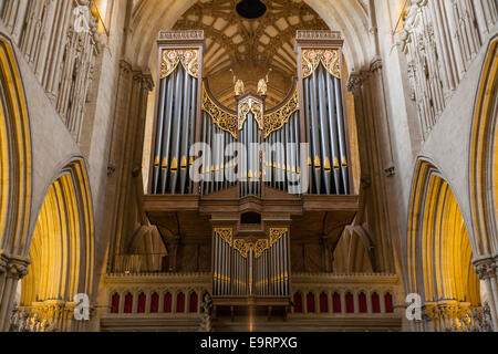 L'organo principale mostra organo a canne della Cattedrale di Wells. Somerset REGNO UNITO. (Visto dal cudiero). Foto Stock