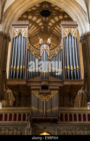 L'organo principale mostra organo a canne della Cattedrale di Wells. Somerset REGNO UNITO. (Visto dal cudiero). Foto Stock