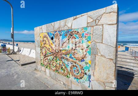 Parete di polpo art. Situato accanto al Pacific Beach stazione bagnino. San Diego, California, Stati Uniti. Foto Stock