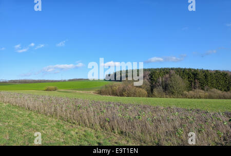 Paesaggio nella Regione vallona, provincia di Liegi in Belgio in una tranquilla giornata invernale Foto Stock