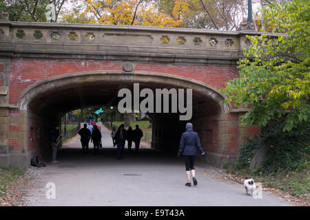 Il Driprock ponte di Arco a Central Park di New York City. Foto Stock