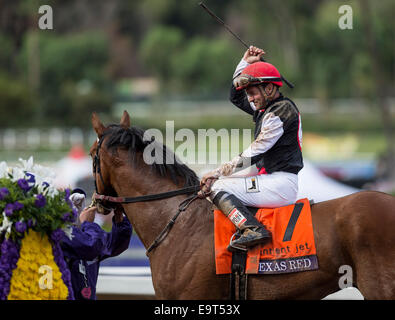 Arcadia, CA, Stati Uniti d'America. 1 Nov, 2014. 1 Novembre 2014: il Texas Red, cavalcato da Kent Desormeaux e addestrati da J. Desormeaux, vince la Breeders' Cup capretti (G1) a Santa Anita Park in Arcadia, California il 1 novembre 2014. Scott Serio/ESW/CSM/Alamy Live News Foto Stock