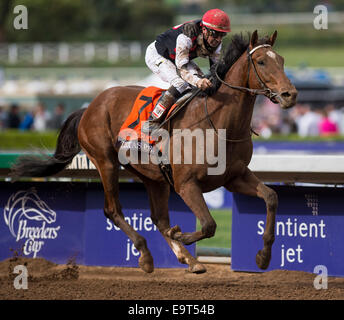 Arcadia, CA, Stati Uniti d'America. 1 Nov, 2014. 1 Novembre 2014: il Texas Red, cavalcato da Kent Desormeaux e addestrati da J. Desormeaux, vince la Breeders' Cup capretti (G1) a Santa Anita Park in Arcadia, California il 1 novembre 2014. Scott Serio/ESW/CSM/Alamy Live News Foto Stock