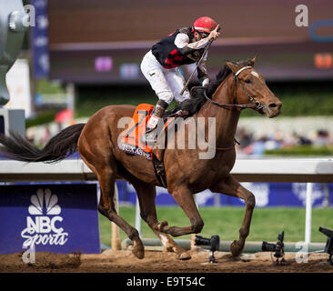 Arcadia, CA, Stati Uniti d'America. 1 Nov, 2014. 1 Novembre 2014: il Texas Red, cavalcato da Kent Desormeaux e addestrati da J. Desormeaux, vince la Breeders' Cup capretti (G1) a Santa Anita Park in Arcadia, California il 1 novembre 2014. Scott Serio/ESW/CSM/Alamy Live News Foto Stock