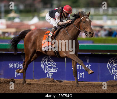 Arcadia, CA, Stati Uniti d'America. 1 Nov, 2014. 1 Novembre 2014: il Texas Red, cavalcato da Kent Desormeaux e addestrati da J. Desormeaux, vince la Breeders' Cup capretti (G1) a Santa Anita Park in Arcadia, California il 1 novembre 2014. Scott Serio/ESW/CSM/Alamy Live News Foto Stock