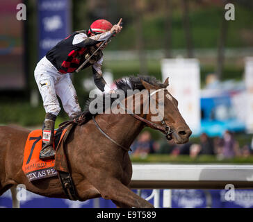 Arcadia, CA, Stati Uniti d'America. 1 Nov, 2014. 1 Novembre 2014: il Texas Red, cavalcato da Kent Desormeaux e addestrati da J. Desormeaux, vince la Breeders' Cup capretti (G1) a Santa Anita Park in Arcadia, California il 1 novembre 2014. Scott Serio/ESW/CSM/Alamy Live News Foto Stock