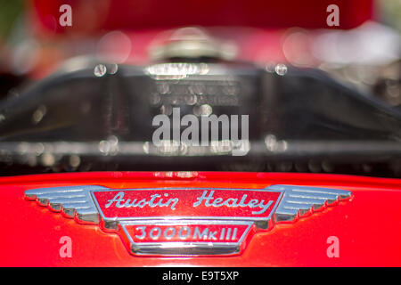 Austin Healey Foto Stock