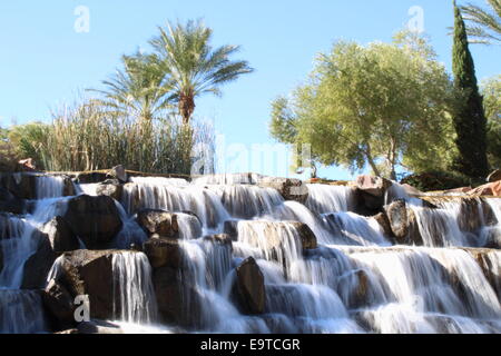 Cascata circondate da alberi di palma Foto Stock