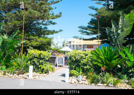 La colazione brunch al Boathouse cafe in Palm Beach,Sydney , Australia Foto Stock